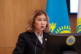 106 нарушений закона о референдуме выявили в Казахстане - фото 6