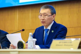 Жаңа Конституция бойынша референдум ресми түрде «өтті» деп танылды – комиссия - фото 3