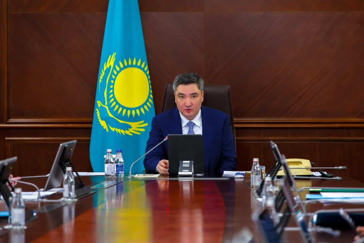 Бірқатар заң мен заңға тәуелді актілерді жаңа Конституцияға сәйкестендіру керек — Үкімет басшысы