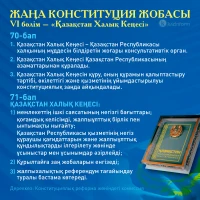 Проект новой Конституции - фото 1