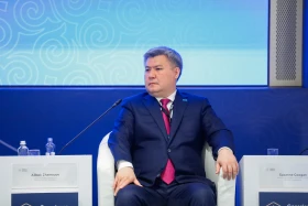 Казахстан стимулирует инвестиции в геологоразведку и добычу углеводородов - фото 14