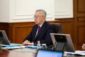 Внедрение ИИ в экономику Казахстана обсудили в Правительстве - фото 7