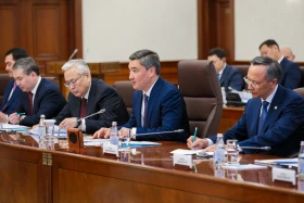 Чехия входит в число приоритетных партнеров Казахстана в ЕС — Бектенов - фото 7