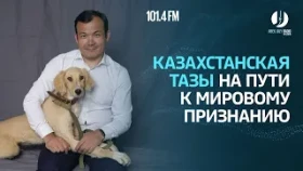 Казахстанская тазы на пути к мировому признанию - фото 1