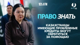 Сколько казахстанцев в долгах? Как снять аресты и выбраться из кредитов ? - фото 1